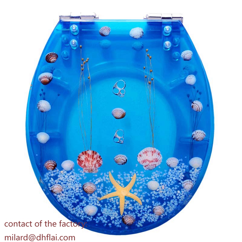 10110 Transparent Resin Toilet Seats